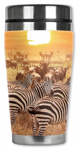 Zebras on the Range - #2765