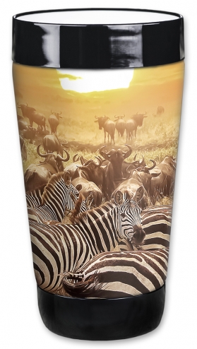 Zebras on the Range - #2765