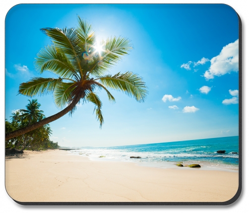 Palm Tree and Beach - #2833