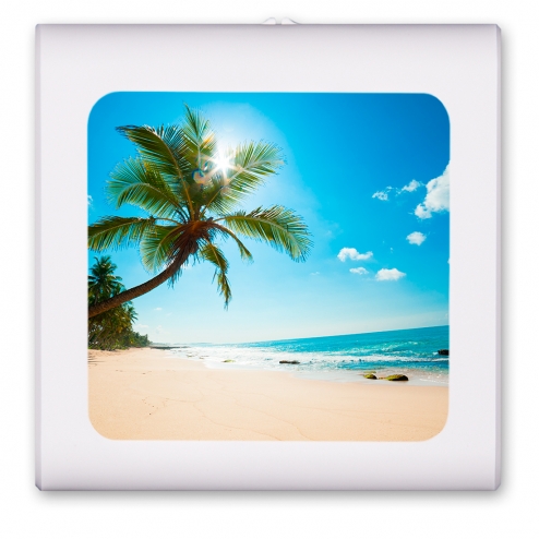 Palm Tree and Beach - #2833