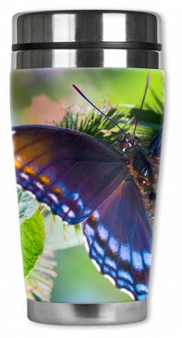 Purple Butterfly - #2849