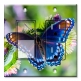 Printed 2 Gang Decora Switch - Outlet Combo with matching Wall Plate - Purple Butterfly