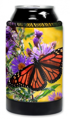 Monarch Butterfly on Purple Flower - #2851