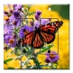 Printed 2 Gang Decora Duplex Receptacle Outlet with matching Wall Plate - Monarch Butterfly on Purple Flower