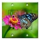Printed 2 Gang Decora Duplex Receptacle Outlet with matching Wall Plate - Blue and Black Butterfly