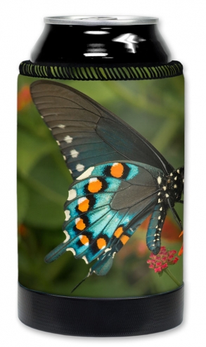 Blue, Black & Orange Butterfly - #2857