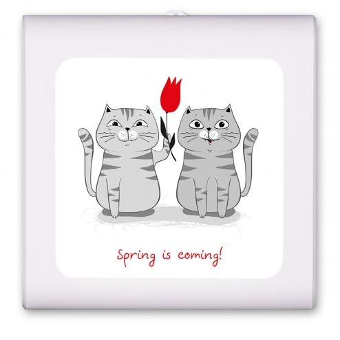 Spring is Coming - Two Cats - #2866