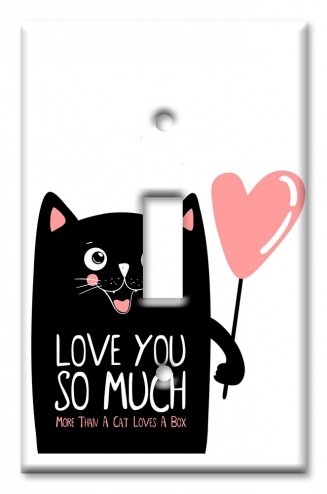 Art Plates - Decorative OVERSIZED Wall Plates & Outlet Covers - Cat Love's You More than a Box