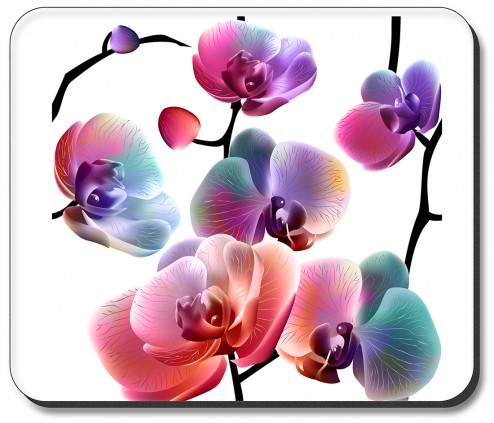 Colorful Graphic Floral Art - #2939