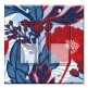 Printed Decora 2 Gang Rocker Style Switch with matching Wall Plate - Red and Blue Flowers