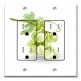Printed 2 Gang Decora Duplex Receptacle Outlet with matching Wall Plate - Green Grape Painting