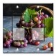 Printed Decora 2 Gang Rocker Style Switch with matching Wall Plate - Purple Grapes in a Basket