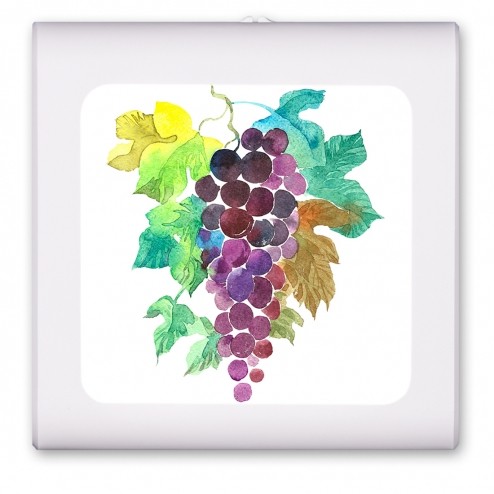 Purple Grape Painting - #2975