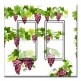 Printed Decora 2 Gang Rocker Style Switch with matching Wall Plate - Purple Grapes on Vines