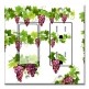 Printed 2 Gang Decora Switch - Outlet Combo with matching Wall Plate - Purple Grapes on Vines