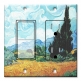 Printed 2 Gang Decora Switch - Outlet Combo with matching Wall Plate - Van Gogh: Yellow Wheat