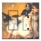 Printed 2 Gang Decora Switch - Outlet Combo with matching Wall Plate - Degas: Dance Examination