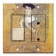 Printed 2 Gang Decora Switch - Outlet Combo with matching Wall Plate - Klimt: Adele Bloch