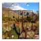 Printed 2 Gang Decora Duplex Receptacle Outlet with matching Wall Plate - Desert Cactus