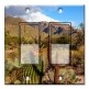 Printed Decora 2 Gang Rocker Style Switch with matching Wall Plate - Desert Cactus
