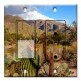 Printed 2 Gang Decora Switch - Outlet Combo with matching Wall Plate - Desert Cactus