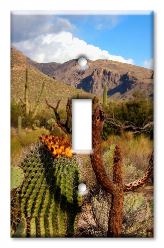 Desert Cactus - #3041