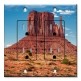 Printed 2 Gang Decora Duplex Receptacle Outlet with matching Wall Plate - Close up of Desert Tower