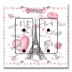 Printed 2 Gang Decora Duplex Receptacle Outlet with matching Wall Plate - Paris, France