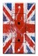 1 Gang Outlet Receptacle