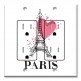 Printed 2 Gang Decora Duplex Receptacle Outlet with matching Wall Plate - Love, Paris