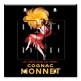 Printed 2 Gang Decora Duplex Receptacle Outlet with matching Wall Plate - Cognac Monnet