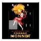 Printed 2 Gang Decora Switch - Outlet Combo with matching Wall Plate - Cognac Monnet