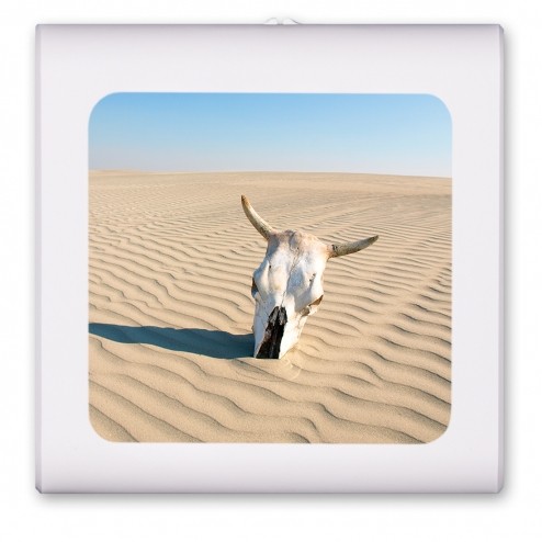 Skull in the Desert - #3093