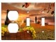 Combo: Outlet / Toggle / Toggle
