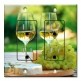 Printed 2 Gang Decora Duplex Receptacle Outlet with matching Wall Plate - White Wine and Grapes