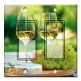 Printed Decora 2 Gang Rocker Style Switch with matching Wall Plate - White Wine and Grapes