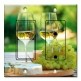 Printed 2 Gang Decora Switch - Outlet Combo with matching Wall Plate - White Wine and Grapes