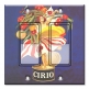 Printed Decora 2 Gang Rocker Style Switch with matching Wall Plate - Cirio
