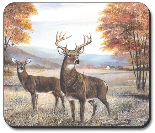 White Tail Deer Animal - #315