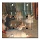Printed 2 Gang Decora Duplex Receptacle Outlet with matching Wall Plate - Degas: Rehearsal