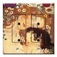 Printed 2 Gang Decora Duplex Receptacle Outlet with matching Wall Plate - Klimt: Mother and Child