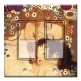 Printed Decora 2 Gang Rocker Style Switch with matching Wall Plate - Klimt: Mother and Child