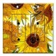 Printed 2 Gang Decora Duplex Receptacle Outlet with matching Wall Plate - Van Gogh: Sunflowers