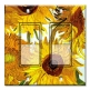 Printed Decora 2 Gang Rocker Style Switch with matching Wall Plate - Van Gogh: Sunflowers