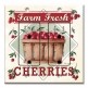 Printed 2 Gang Decora Duplex Receptacle Outlet with matching Wall Plate - Farm Fresh Cherries