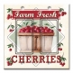 Printed Decora 2 Gang Rocker Style Switch with matching Wall Plate - Farm Fresh Cherries