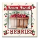 Printed 2 Gang Decora Switch - Outlet Combo with matching Wall Plate - Farm Fresh Cherries