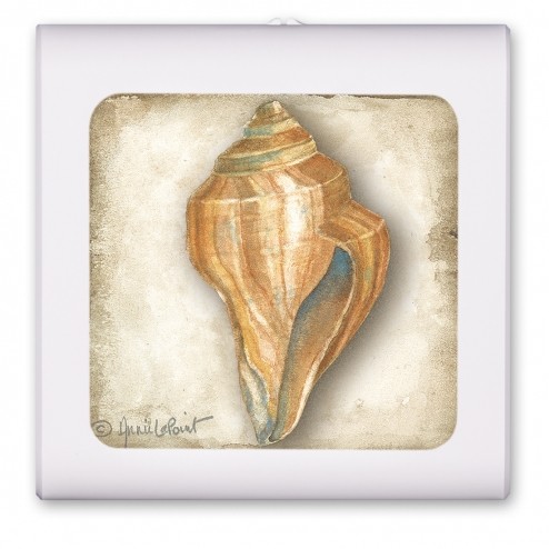 Sea Shell - #421