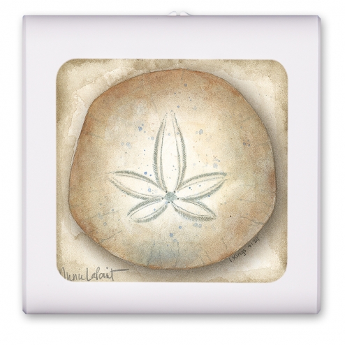 Sand Dollar - #423