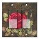 Printed Decora 2 Gang Rocker Style Switch with matching Wall Plate - Rose